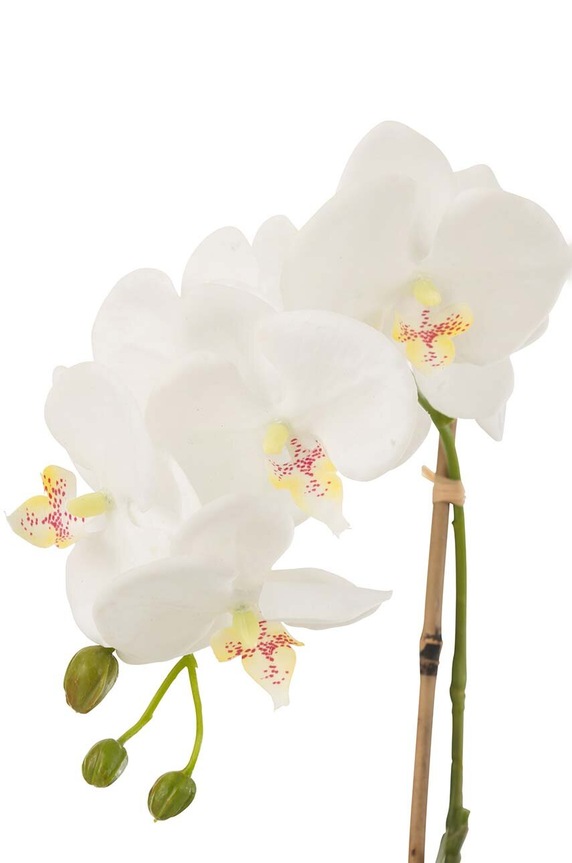 J-Line finta pianta Orchid In Soil 12486 multicolore AA00