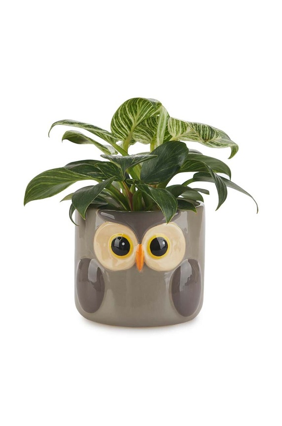 Balvi mască de ghiveci Owl 11,7 x 13,5 cm 27678 gri AA00