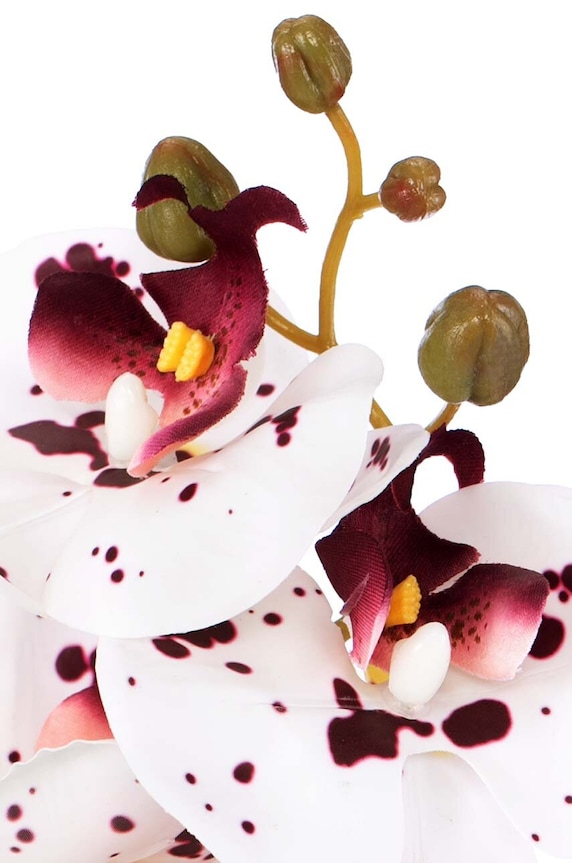 Dnevni boravak i spavaća soba Umjetna biljka Orchidea 10-pack 4251838545423 šarena