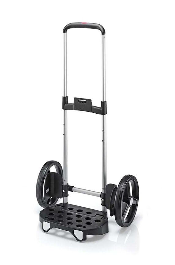 Kolica za kupovinu Reisenthel Citycruiser, 40 L siva RMJ7052