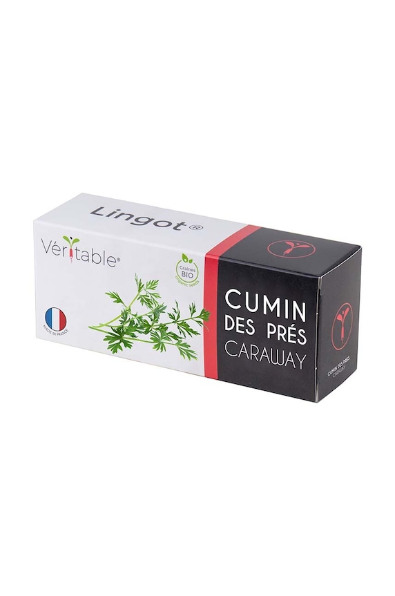 Veritable inserție de semințe de chimen 13 x 4 x 5 cm multicolor VLIN.O10.Cum042