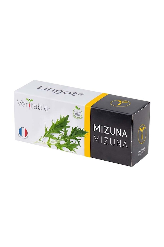 Veritable insertie de seminte Mizuna multicolor VLIN.J10.Miz01F
