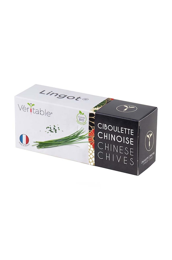 Veritable insertie de seminte Chinese Chives multicolor VLIN.S10.Cib02F