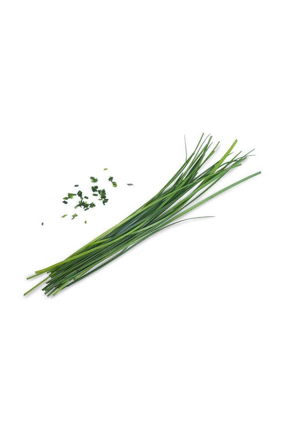 Veritable insertie de seminte Chinese Chives VLIN.S10.Cib02F multicolor AA00
