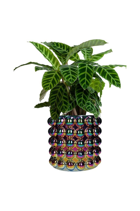 home & lifestyle suport de ghiveci KAL.4664 multicolor AA00