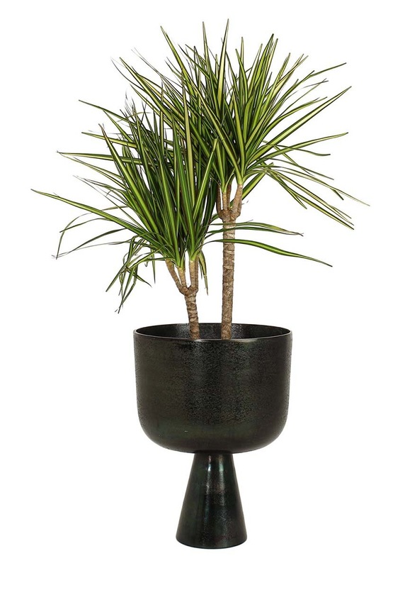 home & lifestyle suport de ghiveci negru XET.6593
