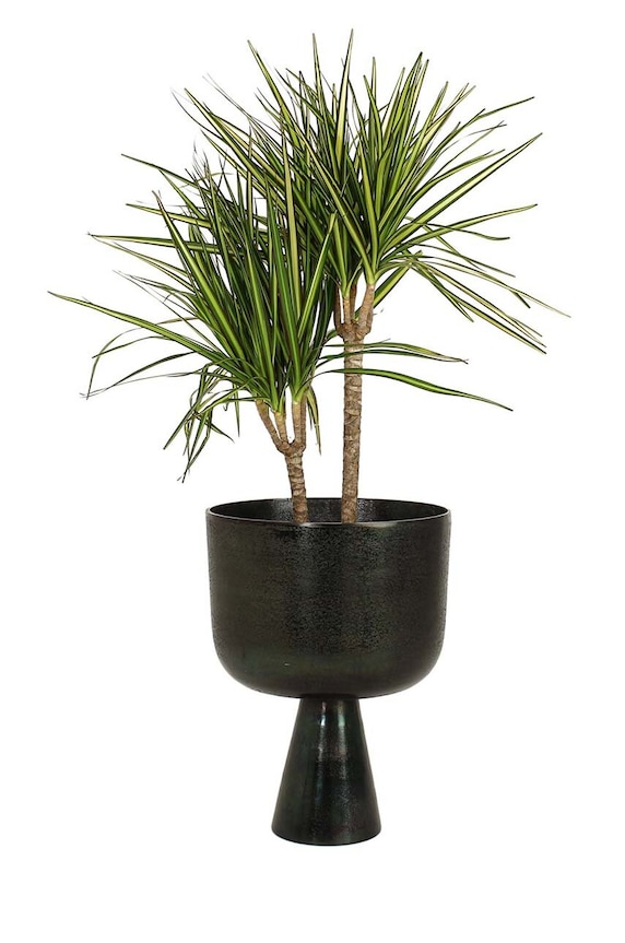 home & lifestyle suport de ghiveci negru XET.6593