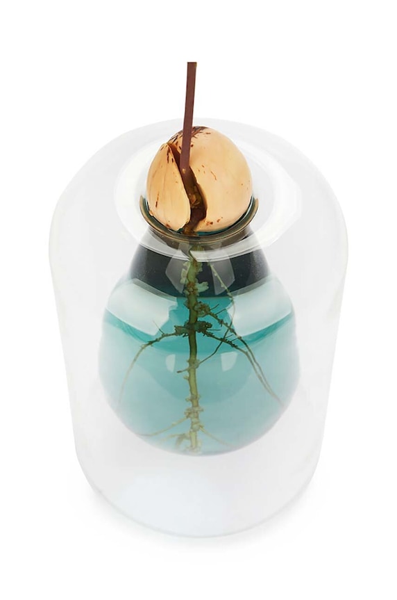 Balvi vaza decorativa Avocado multicolor 27927.