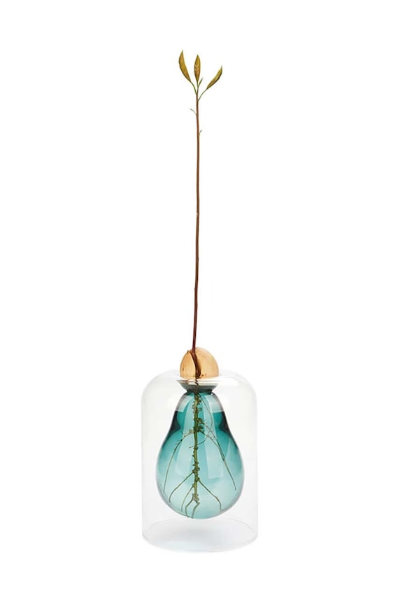 Balvi vaza decorativa Avocado multicolor 27927.