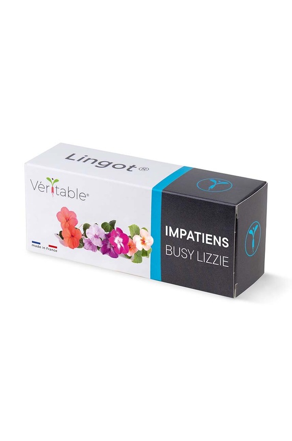 Veritable insertie de seminte Busy Lizzie multicolor VLIN.F5.Imp062