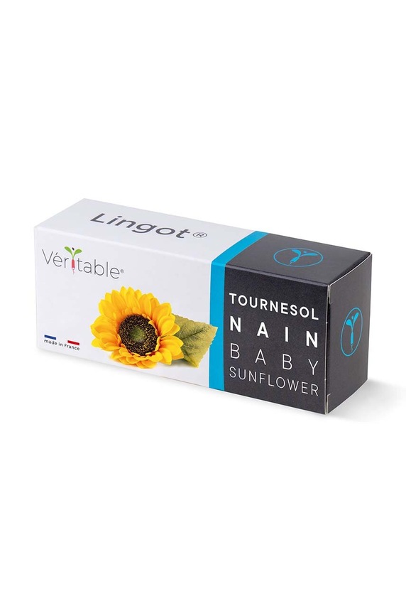Veritable insertie de seminte Baby Sunsflower multicolor VLIN.F5.Tou065