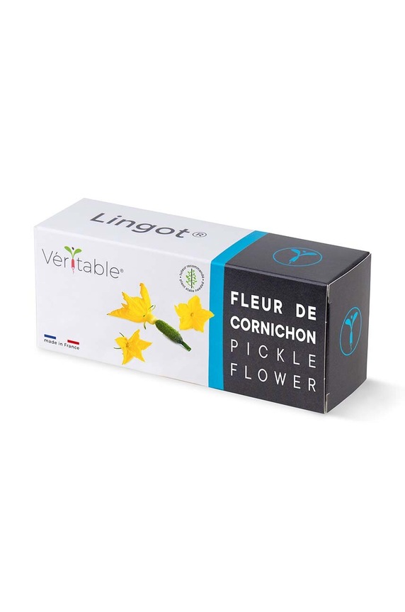 Veritable wkład nasienny Pickle Flower multicolor VLIN.L5.Cor061