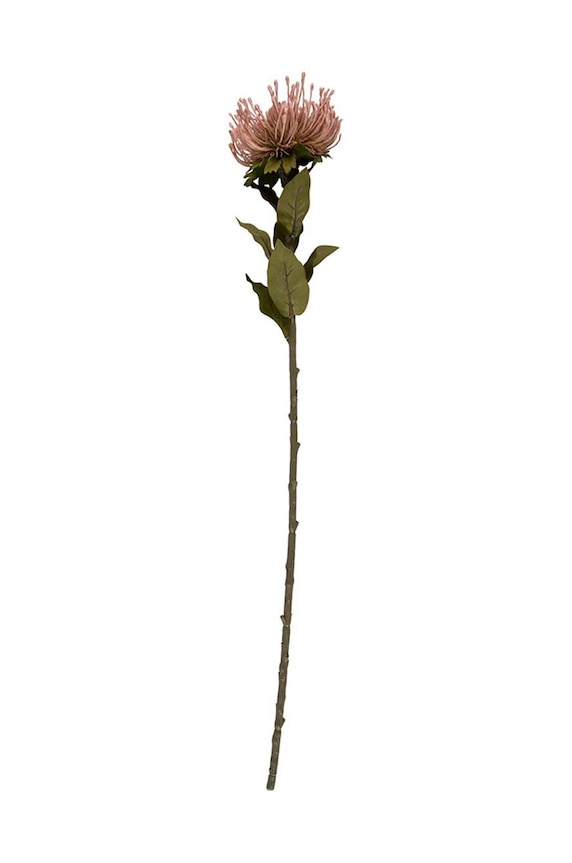Umelý kvet Present Time Protea Flower L viacfarebná PT3905LP