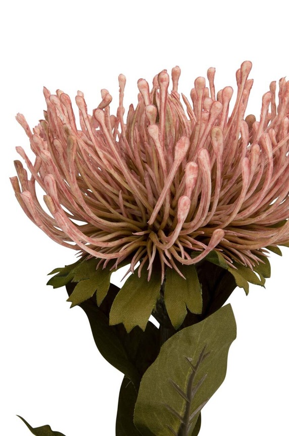 Umelý kvet Present Time Protea Flower L PT3905LP viacfarebná AA00