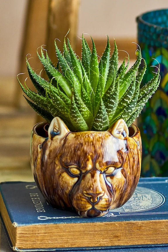 Вітальня та спальня Горщик Bloomingville 13 x 9,5 x 11,5 cm 82061849 коричневий