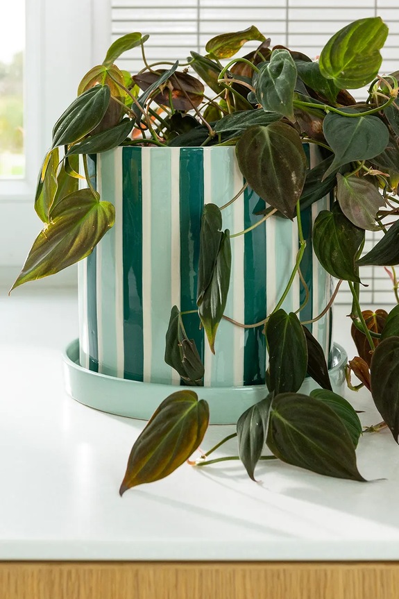 &k amsterdam doniczka clash stripe 16.5 x 18 cm 2899.06 multicolor AA00