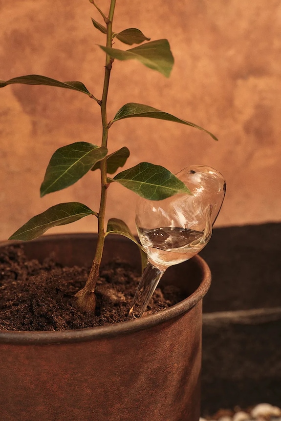 Living și dormitor Ferm Living globuri pentru irigare, din sticlă suflată 18,5 x 12 x 8 cm 1104272726 transparent