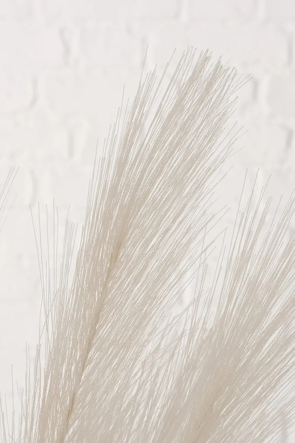 Boltze sztuczna gałązka Palmyra 25 cm beżowy 2062211