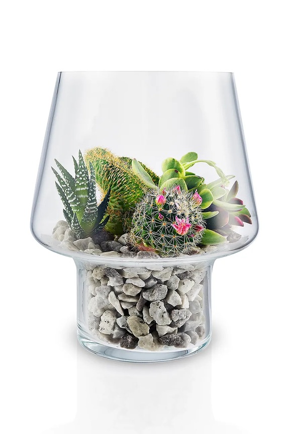 Living și dormitor Eva Solo vază decorativă Succulent 15 cm 568187 transparent