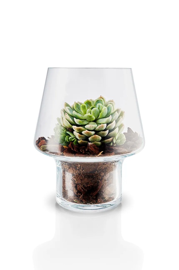 Гостиная и спальня Декоративная ваза Eva Solo Succulent 21 cm 568188 прозрачный