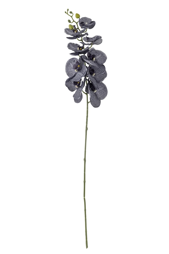 Bloomingville sztuczne kwiaty Orchid Stem 105 cm fioletowy 82061538