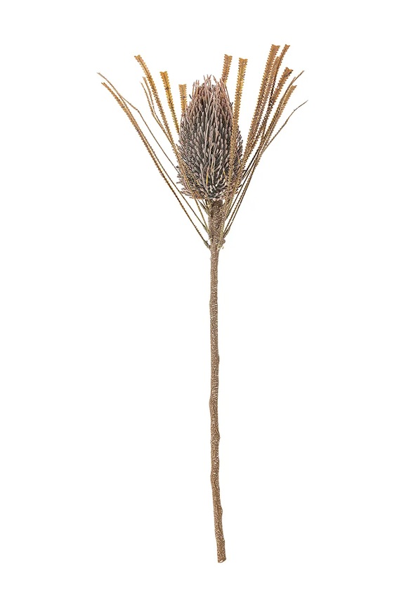 Искусственное растение Bloomingville Palmflower Stem 72 cm мультиколор 82061471