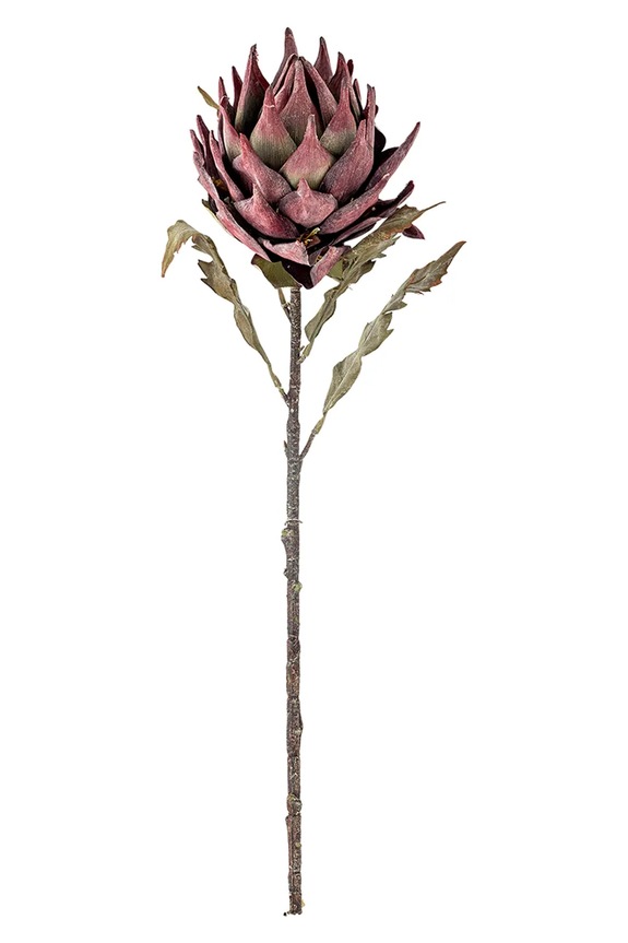 Umelá rastlina Bloomingville Protea Stem 76 cm viacfarebná 82061467