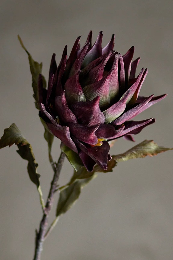 Obývacia izba a spálňa Umelá rastlina Bloomingville Protea Stem 76 cm 82061467 viacfarebná