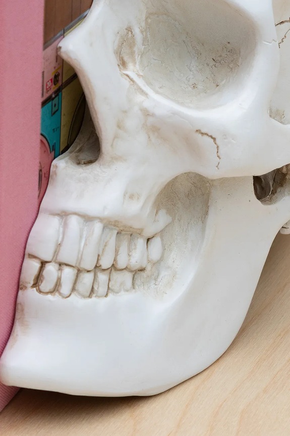 Knižné zarážky Luckies of London Skull 12,3 x 15 x 21,5 cm 2-pak SK.BOOKSKULL1