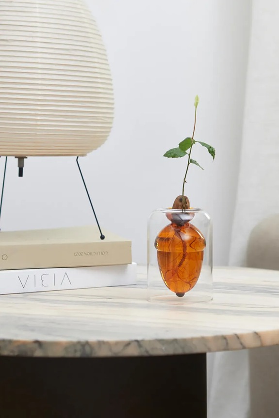 Balvi waso per coltivare i semi Acorn Vase 12 x 8,4 x 8,4 cm 28111 transparente