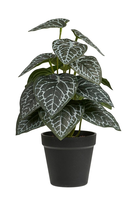 Umelá rastlina v kvetináči House Nordic 33 cm zelená 9510002