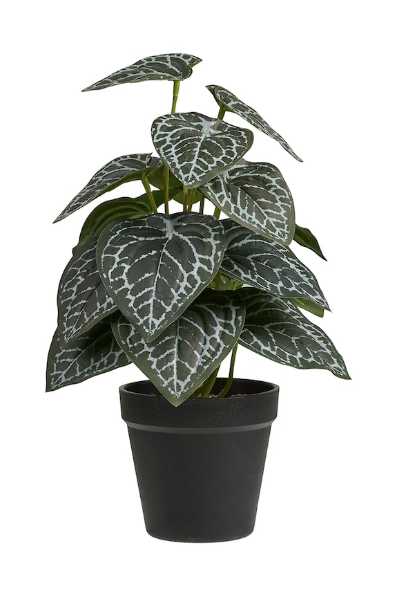 Umelá rastlina v kvetináči House Nordic 33 cm zelená 9510002