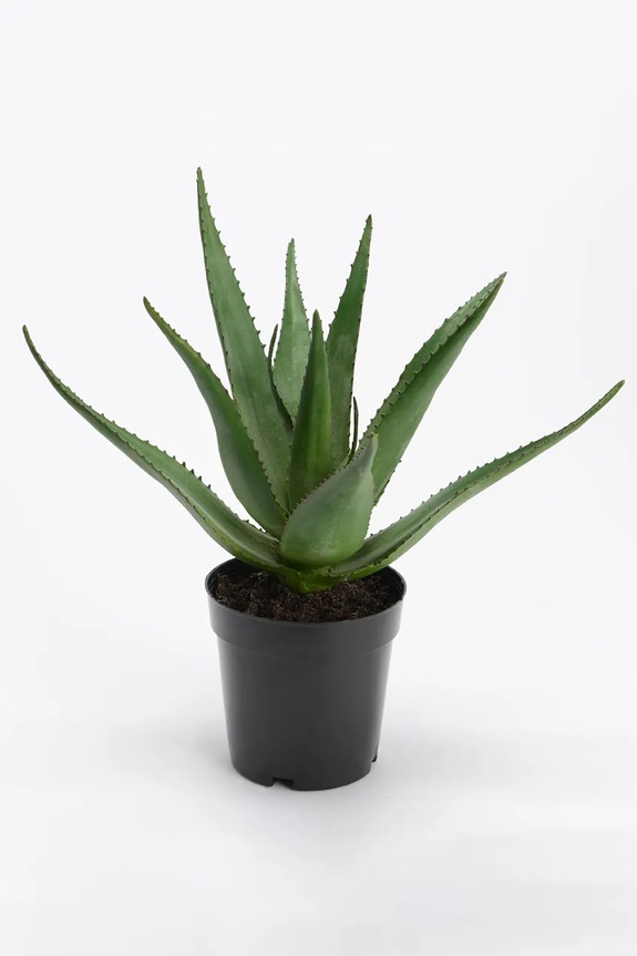 home & lifestyle plantă artificială în ghiveci 38 cm verde 139769