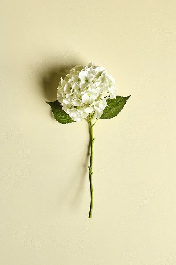 Σαλόνι και υπνοδωμάτιο Τεχνητό λουλούδι House Doctor HDHydrangea 22 x 50 cm 900001455 πολύχρωμο