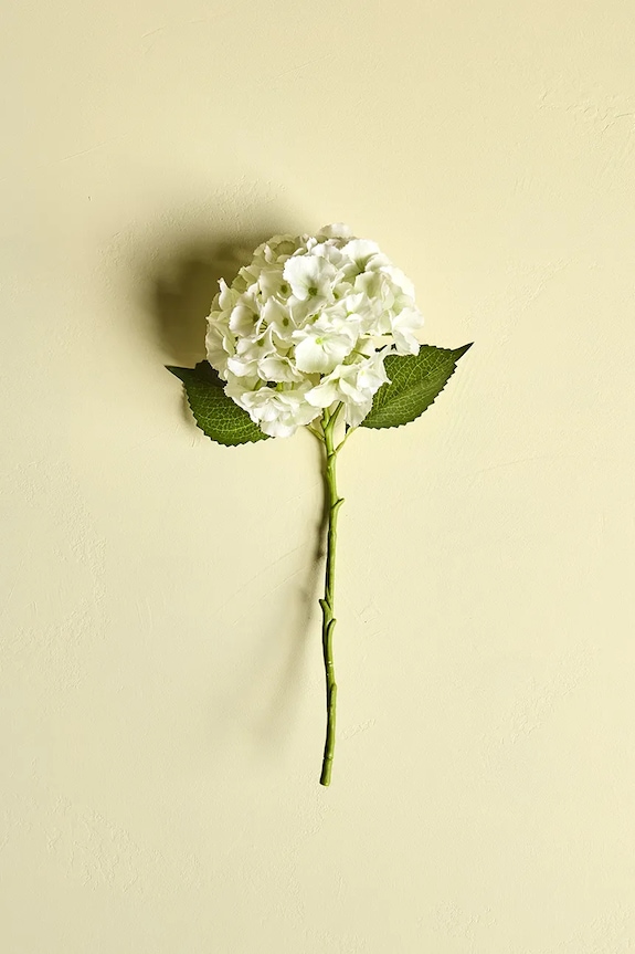 Σαλόνι και υπνοδωμάτιο Τεχνητό λουλούδι House Doctor HDHydrangea 22 x 50 cm 900001455 πολύχρωμο