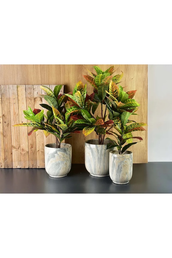 Living și dormitor Inne plantă artificială decorativă 15 x 15 x 60 cm HTQC2117 multicolor