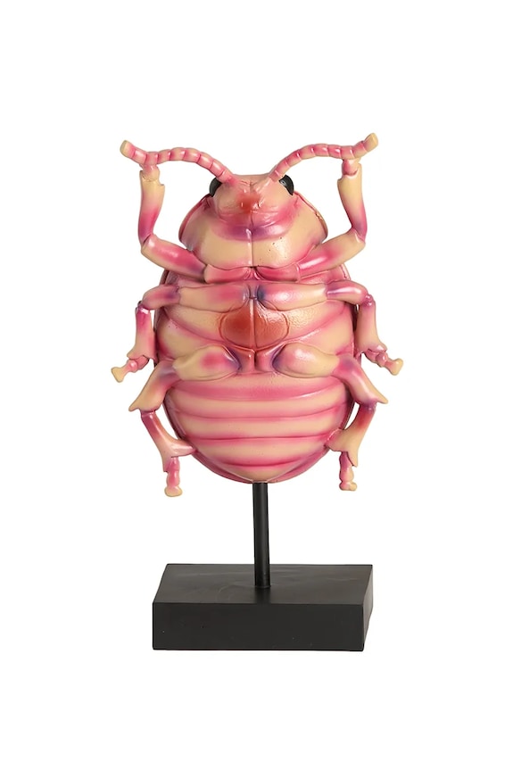 Light & Living figurka dekoracyjna z tworzywa sztucznego 15 x 8,5 x 27 cm 7619689 multicolor AA00