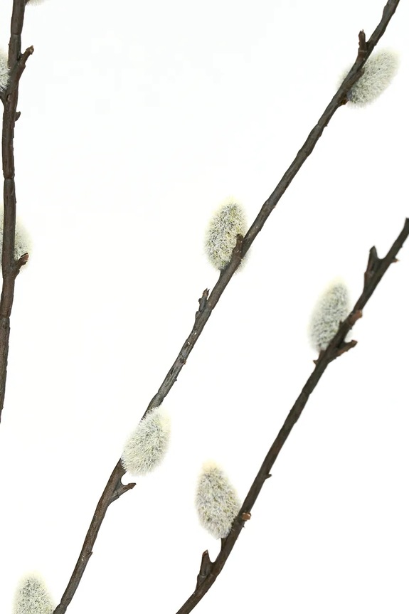 House Doctor Τεχνητό φυτό διακοσμητικό 12 x 95 cm 900001477 πολύχρωμο AA00