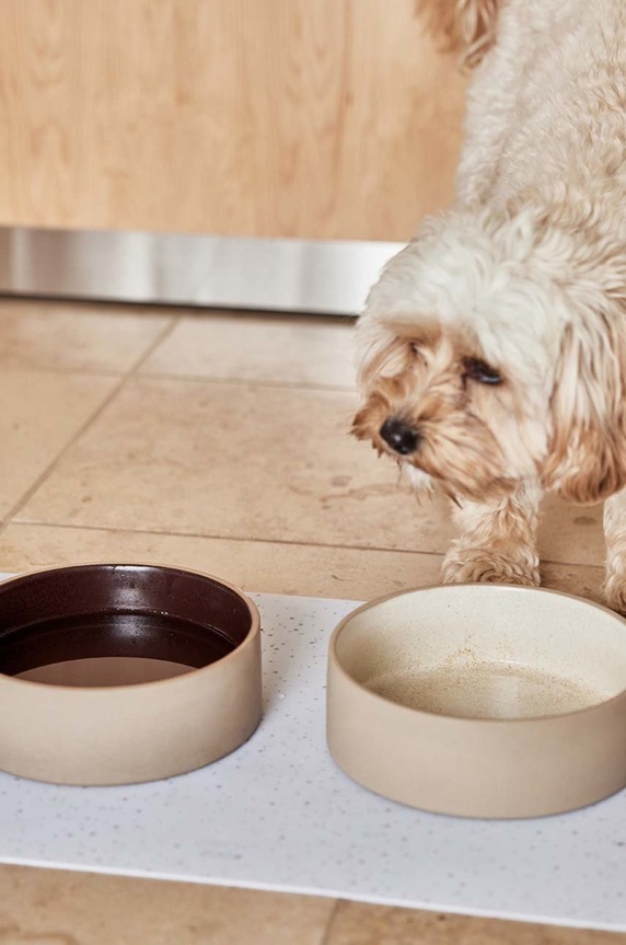 Μπολ σκύλου OYOY Sia Large Z60013 καφέ AA00