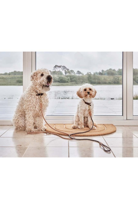 OYOY smycz dla psa Perry Z60081 pomarańczowy AA00