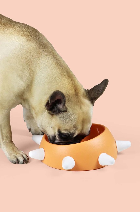 Lifestyle United Pets miska dla psa Boss Small AV0101AR20 pomarańczowy