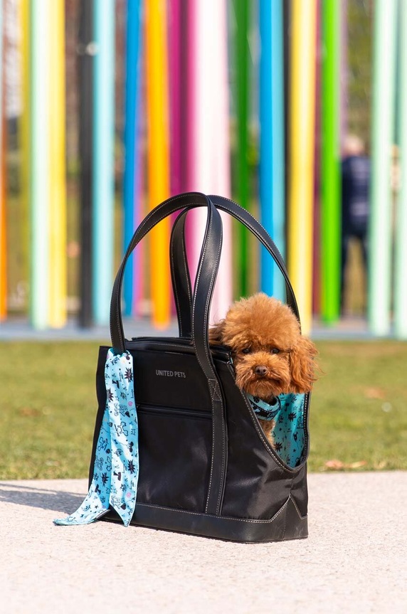 Taška pre domáce zvieratá United Pets Up Bag GP1301NA viacfarebná