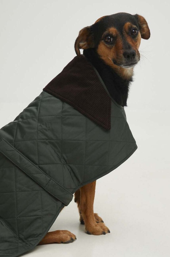 Barbour płaszcz dla psa multicolor DCO0004GN91