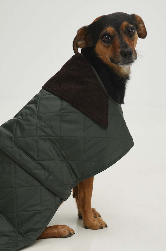 Barbour płaszcz dla psa multicolor DCO0004GN91