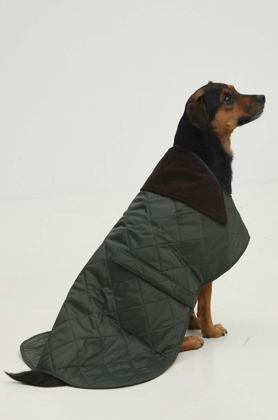 Lifestyle Barbour płaszcz dla psa DCO0004GN91 multicolor
