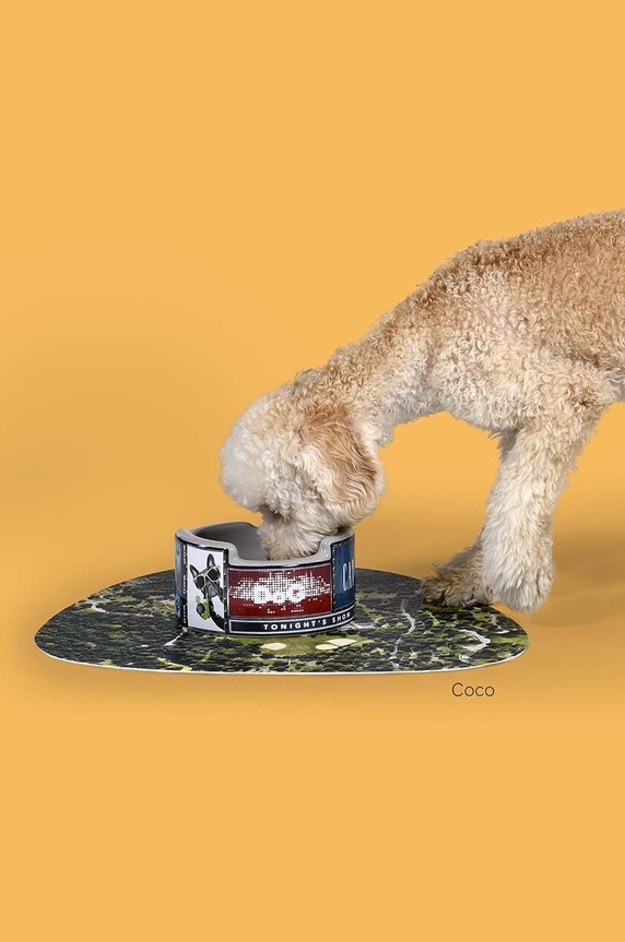 Μπολ για κατοικίδια United Pets New York x Seletti πολύχρωμο SE0102NY