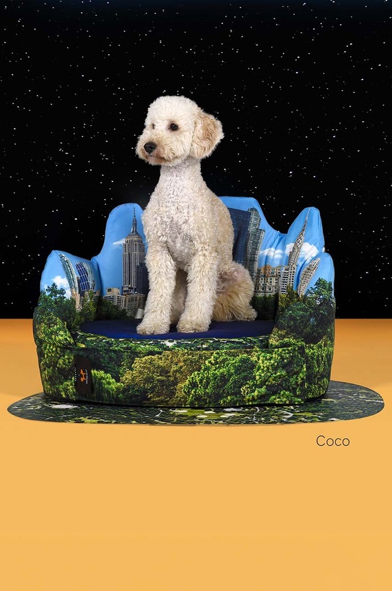 Матрас для домашнего питомца United Pets New York x Seletti мультиколор SE5102NY