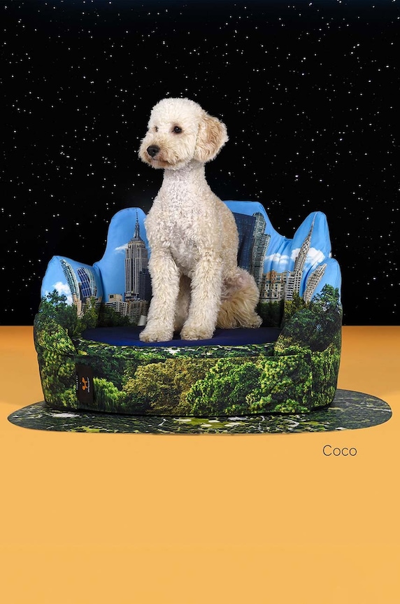 Матрас для домашнего питомца United Pets New York x Seletti мультиколор SE5102NY