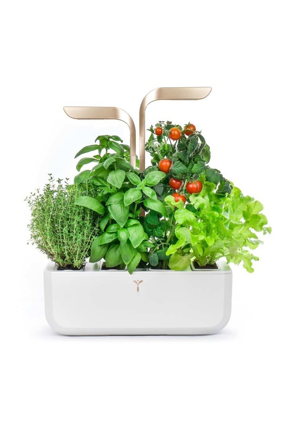 Αυτόνομος κήπος σπιτιού Veritable Connect 33 × 18,5 x 45 cm κίτρινο VPOT.BAWMG.EU2.160