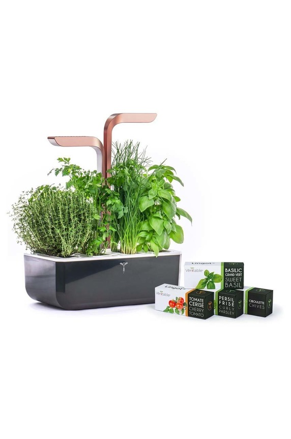 Αυτόνομος κήπος σπιτιού Veritable Smart 33 × 18,5 x 45 cm πορτοκαλί VPOT.SSBCO.EU2.158